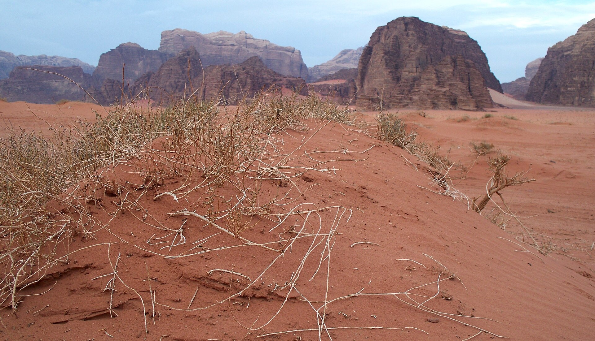 Petra & Wadi Rum in 3 Days